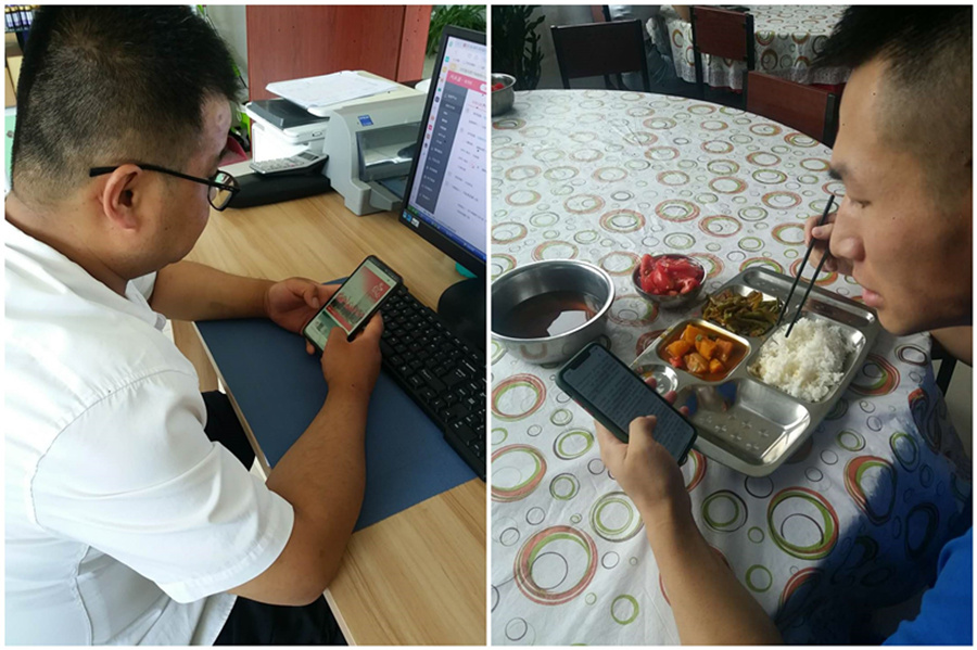 銀川伊百盛生物工程有限公司 銀川伊百盛生物工程有限公司