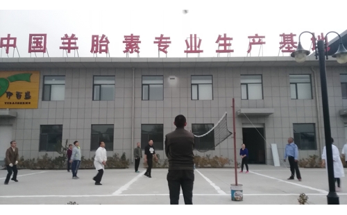 排球傳溫情，員工齊聚心