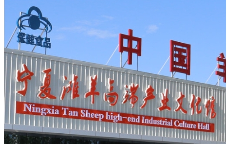 羊胎素的作用原理、功效和使用禁忌